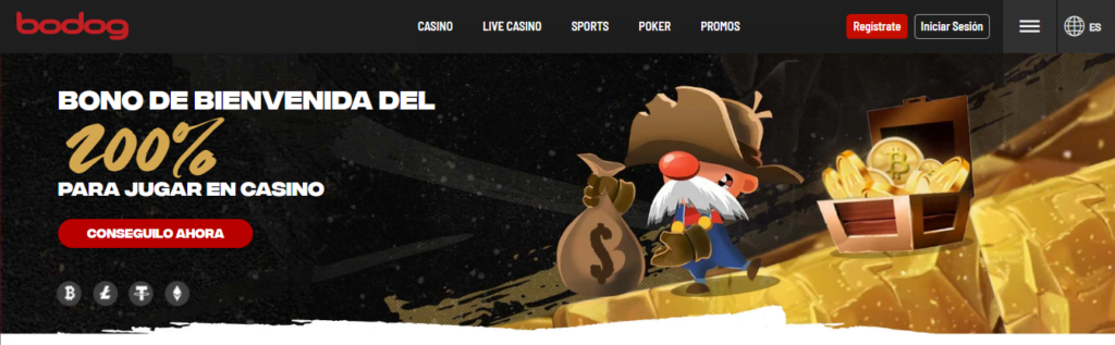 bodog oferta para casino