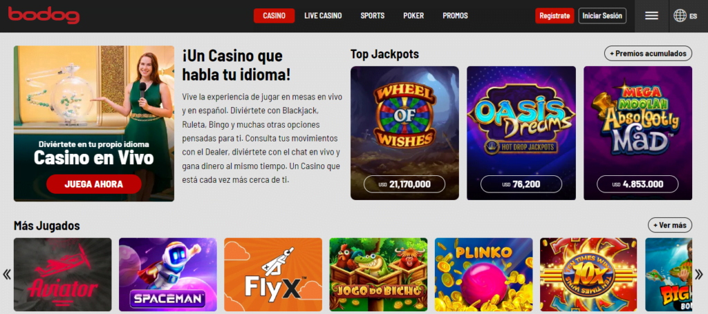 bodog casino chile